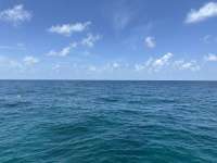 Great day of scuba diving in Key Largo with Rainbow Reef on racetrack tropical odyssey 2023 07 13 r14274 1
