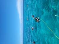 Great day of scuba diving in Key Largo with Rainbow Reef on sand island tropical legend 2023 07 02 r14197 1