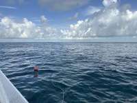 Great day of scuba diving in Key Largo with Rainbow Reef on snapper ledge tropical adventure 2023 07 18 r14310 1