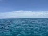 Great day of scuba diving in Key Largo with Rainbow Reef on snapper ledge tropical legend 2023 07 29 r14388 1