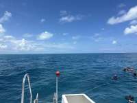 Great day of scuba diving in Key Largo with Rainbow Reef on student classes trip tropical odyssey 2023 07 31 r14403 1