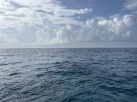 Great day of scuba diving in Key Largo with Rainbow Reef on benwood wreck tropical odyssey 2023 06 24 r14129 1