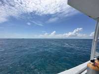 Great day of scuba diving in Key Largo with Rainbow Reef on christ statue tropical adventure 2023 06 11 r14035 1