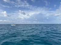 Great day of scuba diving in Key Largo with Rainbow Reef on crf nursery tropical adventure 2023 06 21 r14095 1