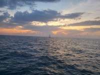 Great day of scuba diving in Key Largo with Rainbow Reef on eagle ray alley tropical legend 2023 06 17 r14074 1