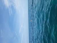 Great day of scuba diving in Key Largo with Rainbow Reef on molasses reef tropical legend 2023 06 23 r14118 1