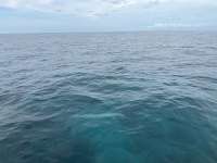 Great day of scuba diving in Key Largo with Rainbow Reef on north star tropical adventure 2023 06 06 r14001 1