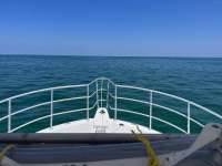 Great day of scuba diving in Key Largo with Rainbow Reef on sand island tropical adventure 2023 06 07 r14008 1