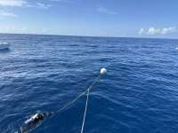 Great day of scuba diving in Key Largo with Rainbow Reef on spiegel grove tropical odyssey 2023 06 15 r14057 1