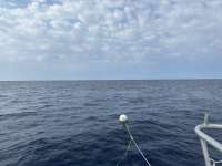 Great day of scuba diving in Key Largo with Rainbow Reef on spiegel grove tropical odyssey 2023 06 16 r14063 1