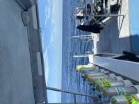 Great day of scuba diving in Key Largo with Rainbow Reef on uscgc duane tropical destiny 2023 06 15 r14058 1