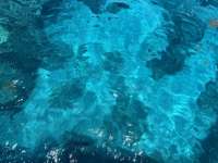 Great day of scuba diving in Key Largo with Rainbow Reef on winch hole tropical odyssey 2023 06 30 r14172 1