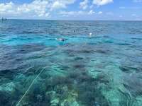 Great day of scuba diving in Key Largo with Rainbow Reef on elbow reef tropical destiny 2023 05 20 r13913 2