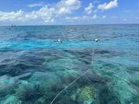Great day of scuba diving in Key Largo with Rainbow Reef on elbow reef tropical destiny 2023 05 20 r13913 3