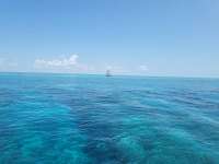 Great day of scuba diving in Key Largo with Rainbow Reef on molasses reef tropical legend 2023 05 18 r13896 1