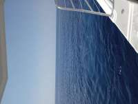 Great day of scuba diving in Key Largo with Rainbow Reef on spiegel grove tropical odyssey 2023 05 18 r13895 1