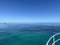Great day of scuba diving in Key Largo with Rainbow Reef on banana patch tropical destiny 2023 10 07 r14715 1