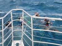 Great day of scuba diving in Key Largo with Rainbow Reef on christmastree cave tropical odyssey 2023 10 02 r14695 1