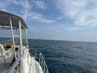 Great day of scuba diving in Key Largo with Rainbow Reef on fire coral cave tropical odyssey 2023 10 09 r14724 1