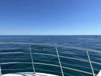 Great day of scuba diving in Key Largo with Rainbow Reef on french twist tropical odyssey 2023 10 21 r14771 1