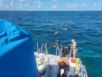 Great day of scuba diving in Key Largo with Rainbow Reef on permit ledges tropical legend 2023 10 05 r14704 1