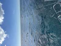 Great day of scuba diving in Key Largo with Rainbow Reef on pickle barrel wreck tropical odyssey 2023 10 18 r14762 1