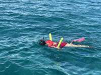 Great day of scuba diving in Key Largo with Rainbow Reef on pickles reef tropical destiny 2023 10 08 r14722 1