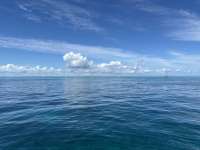 Great day of scuba diving in Key Largo with Rainbow Reef on spanish anchor tropical odyssey 2023 10 06 r14711 1