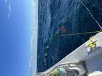 Great day of scuba diving in Key Largo with Rainbow Reef on uscgc duane tropical odyssey 2023 10 18 r14759 1