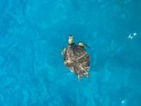 Great day of scuba diving in Key Largo with Rainbow Reef on benwood wreck tropical destiny 2023 09 11 r14603 1