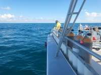 Great day of scuba diving in Key Largo with Rainbow Reef on benwood wreck tropical legend 2023 09 17 r14629 1