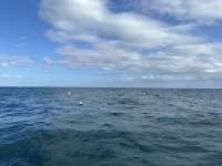 Great day of scuba diving in Key Largo with Rainbow Reef on benwood wreck tropical voyager 2023 09 03 r14560 1
