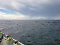 Great day of scuba diving in Key Largo with Rainbow Reef on christ statue tropical odyssey 2023 09 24 r14662 1