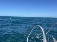 Great day of scuba diving in Key Largo with Rainbow Reef on christmastree cave tropical destiny 2023 09 05 r14570 1