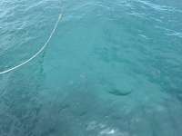 Great day of scuba diving in Key Largo with Rainbow Reef on christmastree cave tropical legend 2023 09 20 r14643 1