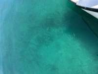 Great day of scuba diving in Key Largo with Rainbow Reef on city of washington tropical odyssey 2023 09 18 r14633 2