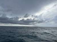 Great day of scuba diving in Key Largo with Rainbow Reef on crf nursery tropical legend 2023 09 26 r14669 1