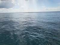 Great day of scuba diving in Key Largo with Rainbow Reef on drift molasses tropical legend 2023 09 09 r14587 1