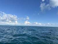 Great day of scuba diving in Key Largo with Rainbow Reef on eagle ray alley tropical voyager 2023 09 17 r14627 1