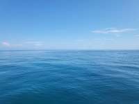 Great day of scuba diving in Key Largo with Rainbow Reef on french reef tropical legend 2023 09 18 r14636 1