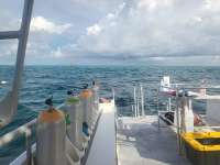 Great day of scuba diving in Key Largo with Rainbow Reef on hole in the wall tropical legend 2023 09 25 r14664 1