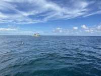Great day of scuba diving in Key Largo with Rainbow Reef on molasses reef tropical voyager 2023 09 30 r14686 1