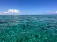 Great day of scuba diving in Key Largo with Rainbow Reef on pickle barrel wreck tropical destiny 2023 09 10 r14596 1