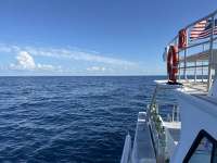 Great day of scuba diving in Key Largo with Rainbow Reef on spiegel grove tropical destiny 2023 09 11 r14600 1