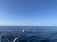 Great day of scuba diving in Key Largo with Rainbow Reef on spiegel grove tropical destiny 2023 09 14 r14617 1