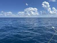 Great day of scuba diving in Key Largo with Rainbow Reef on spiegel grove tropical odyssey 2023 09 09 r14590 1