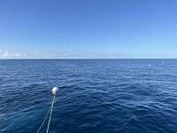 Great day of scuba diving in Key Largo with Rainbow Reef on spiegel grove tropical odyssey 2023 09 10 r14592 1