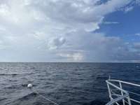 Great day of scuba diving in Key Largo with Rainbow Reef on spiegel grove tropical odyssey 2023 09 16 r14625 1