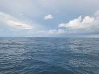 Great day of scuba diving in Key Largo with Rainbow Reef on spiegel grove tropical odyssey 2023 09 24 r14661 1