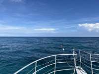 Great day of scuba diving in Key Largo with Rainbow Reef on student classes trip tropical legend 2023 09 24 r14663 1